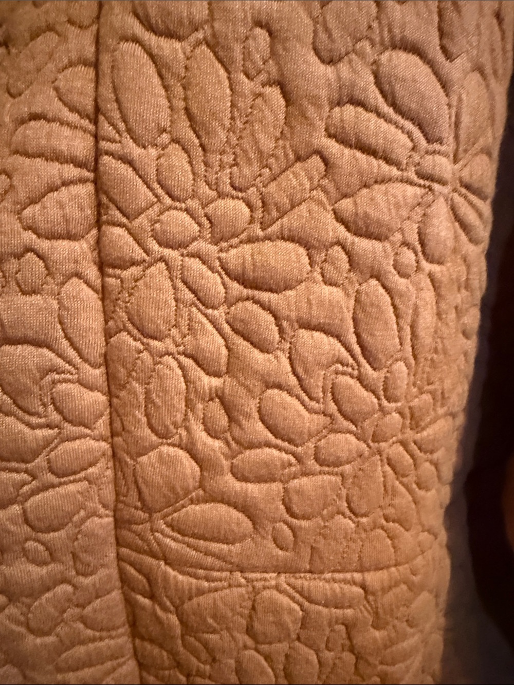 Hooded Teddy Jacket in Rust Brown - Unbranded - Picture 2 of 5